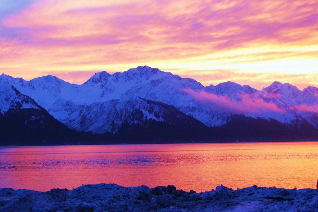 Arctic Paradise B&B Seward Exterior photo